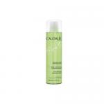 Caudalie Rosto Eau Micellair Demaq 100ml